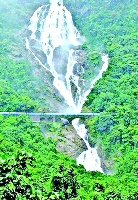Dudhsagar Falls back in action as Collem celebrates tourism revival