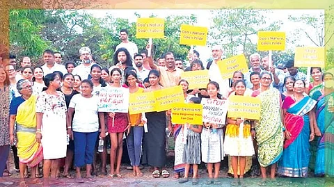 Activists Protest Tree Cutting Near Goa Governor's Residence, Demand Immediate Halt