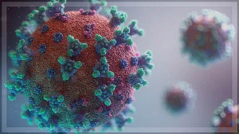 Goa on High Alert: Rising HMPV Cases Spark Fears of Another Pandemic