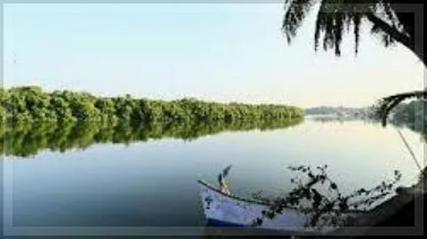 High Court Hearing on River Sal Pollution Puts Authorities Under Fire