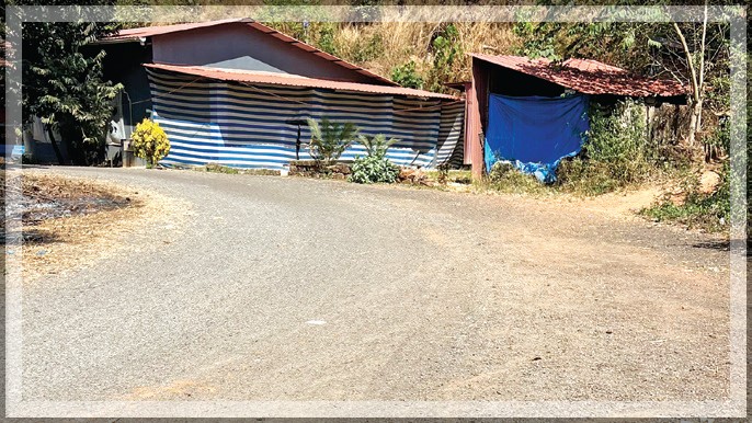 Urgent Repairs Needed for Deplorable Dando-Mollo Road in Velsao