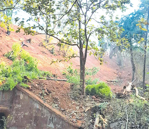 Railway contractor encroaching, cutting trees without permission, alleges Issorcim villager