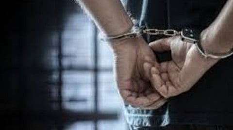 German National Arrested in Goa with Drugs Worth Rs 24 Lakh in Major 2025 Bust