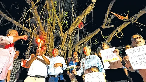 Branches Of Hope