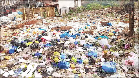 Stinking nuisance outside Mapusa Sub-Registrar’s office