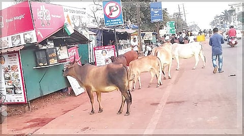 Handcarts, kiosks by roadside
pose nuisance at CHOGM road
