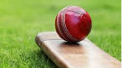 Risers Defeat Lawyer Challengers by 5 Wickets to Set Up Rematch with United Brothers in ACL T20 Final