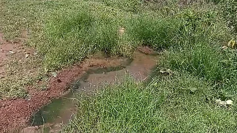 Residents in Ponda Raise Health Concerns Over Overflowing Sewage; PMC Plans Strict Action