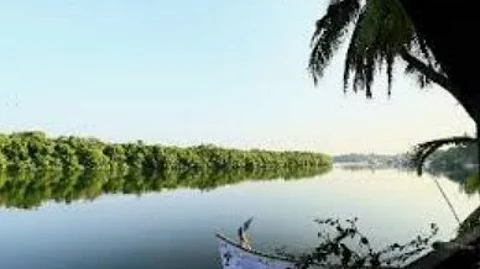 River Sal in Salcete Suffers from Severe Pollution, Environmentalists Raise Alarm