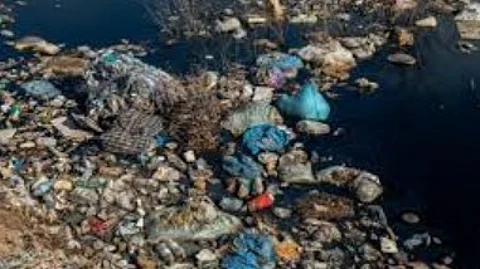 Betalbatim Panchayat Fines Hotel for Improper Garbage Disposal, Gives 10-Day Deadline