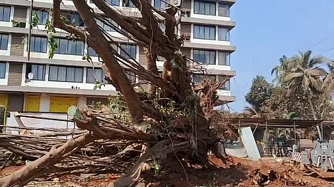 Chaos in Porvorim as Sacred Banyan Tree Uprooted and Khapreshwar Shrine Demolished by Authorities
