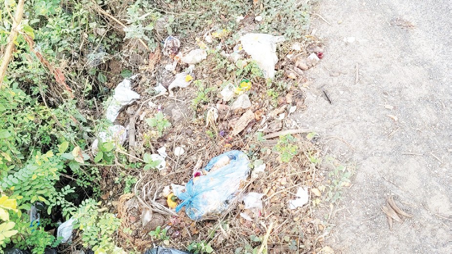 Benaulim’s Garbage Crisis: Lack of Waste Management and Civic Sense Threaten Coastal Village