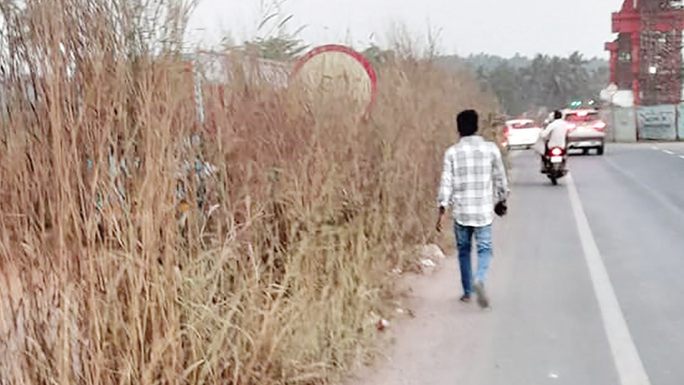 Poor Road Signage and Overgrown Grass Threaten Safety on Guirim Highway