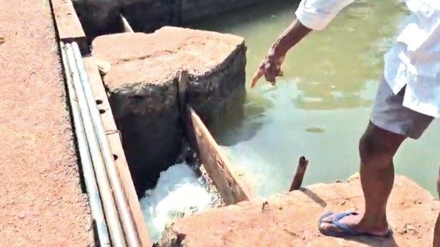 Kundaim Farmer Alleges Illegal Submersion of Paddy Field for Fishing, Seeks Action from Ponda Mamlatdar