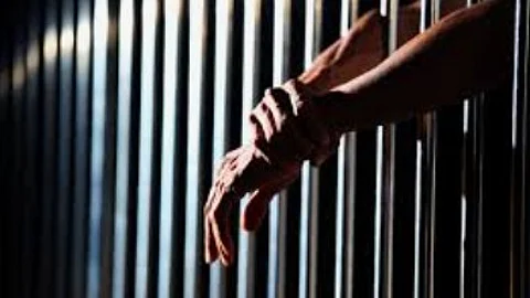 Intoxicated Tourist Arrested After Harassing Women Near Club National in Panjim During Carnival