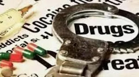 Goa Police's Anti-Narcotics Cell Arrests Two Men with Ganja Worth Rs 15 Lakh, Uncover Drug Distribution Network