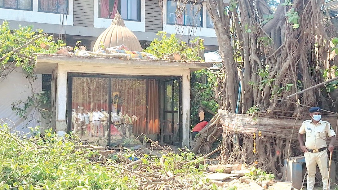 Controversial Cutting of 200-Year-Old Banyan Tree in Porvorim Sparks Protest, Opposition Leaders Absent