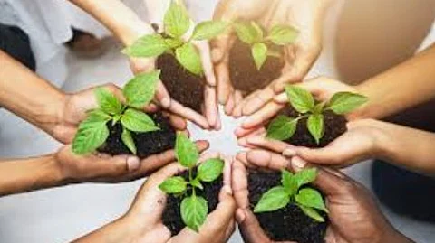 Goa Mandates Canvas Shoes for Students in All Schools to Promote Environmental Sustainability