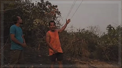 Fire Destroys 80,000 Sq.m of Cashew Orchards in Deusbhatwadi Due to Power Line Friction