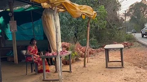 Women Farmers in Goa Struggle to Sell Organic Sweet Potatoes Amidst Challenges