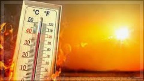 Heat wave across Goa causes a surge in hospital visits