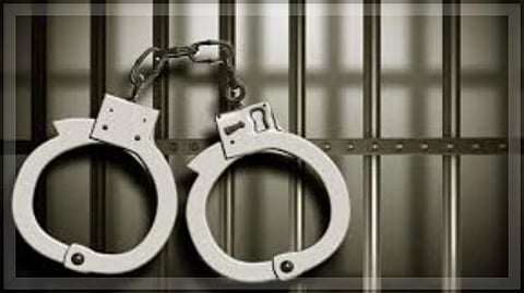 Valpoi Police Bust Illegal Beef Transportation Network, Arrest Four in Chorla Ghat Operation