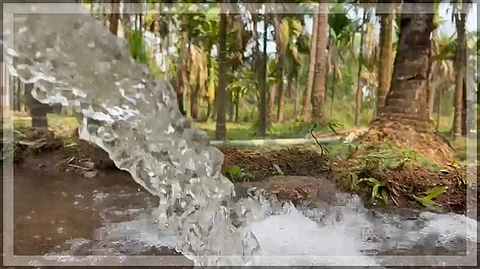 HERALD IMPACT: Horticulture Farm in Goa Revived After Water Scarcity Issue Is Addressed