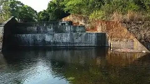 Centre puts Kalsa-Bhandura water project on hold over forest concerns