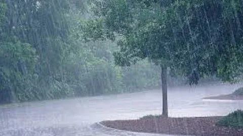 IMD Issues Orange Alert for Goa: Heavy Rainfall, Lightning, and Gusty Winds Expected from May 20