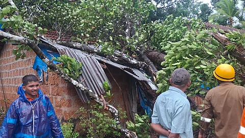 Jackfruit Tree Falls on House of Single Woman in Mahalwada, Painjim