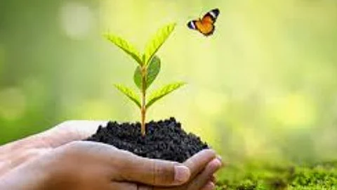 Goa to Launch CRZ Portal, Release Khazan & Mangrove Plan on World Environment Day