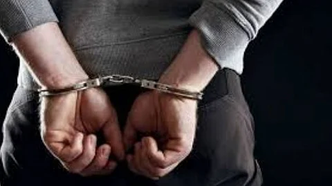 Second Arrest Made in Arambol Hydroponic Weed Case