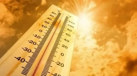 Severe Heat and Humidity Grip North India; Delhi Records Season's Hottest Day