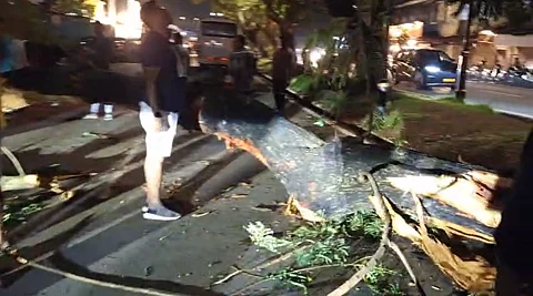 Container Truck Traced in Panjim Jetty Tree Collapse Incident