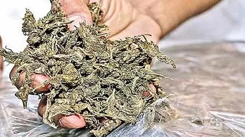 Crime Branch Seizes 30 Kg Ganja in Mapusa; Two Maharashtra Men Arrested