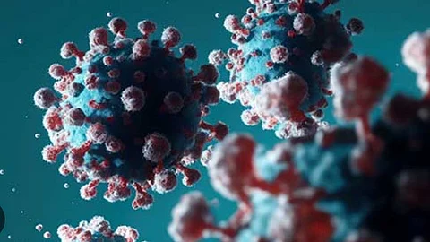 Goa Reports 4 COVID-19 Recoveries, Active Cases Drop to 5