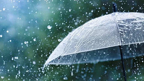 IMD Issues Orange Alert for Goa on June 12–14 Amid Heavy Rain Forecast