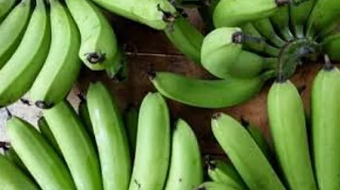 FDA Raid Breached: 1.5 Tonnes of Chemically Ripened Bananas Seized Again