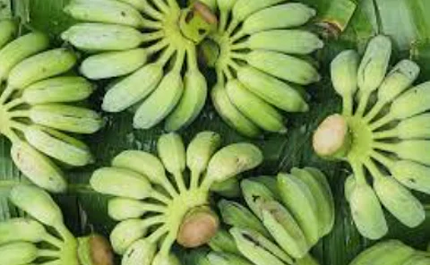 Mapusa Godown Sealed by FDA Illegally Opened; Two Detained