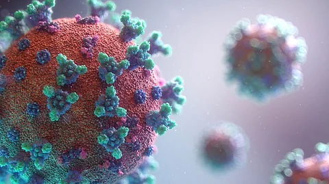 Goa Reports 1 New Covid Case, Total Active Cases Now at 6