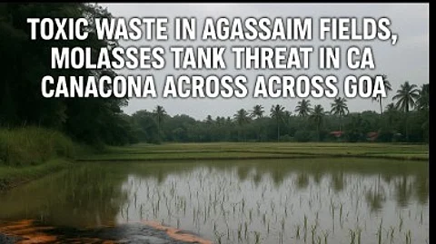 Toxic Waste in Agassaim Fields, Molasses Tank Threat in Canacona Raise Alarm Across Goa