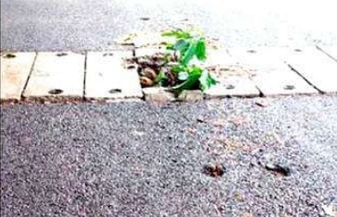 Broken Nullah Slab in Sangolda Puts Lives at Risk, Sparks Public Outcry