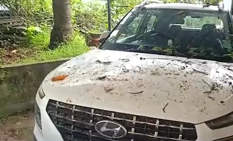 Monsoon menace narrowly missed as giant tree crashes into Bicholim school