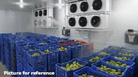 Mapusa to Get 60-Tonne Fruit Ripening Chamber by Ganesh Chaturthi