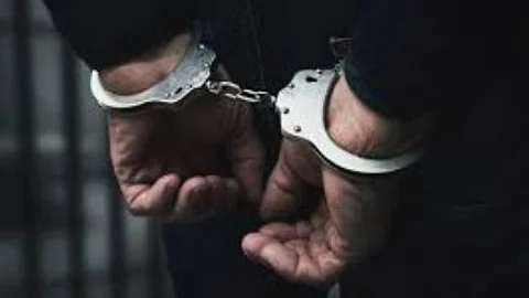 Man Arrested in Bicholim for Illegally Transporting Calf on Motorcycle