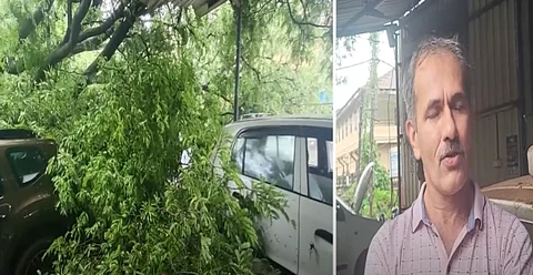 Massive tamarind tree crushes garage in Curti-Ponda, miraculously spares lives