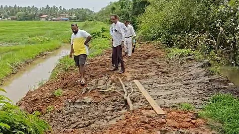 Breach in Bundh at Rachol-Raia Sparks Concern; Farmers Act Quickly to Save Fields