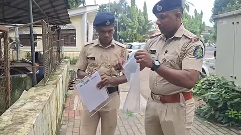 Another Cannabis Plant Discovered at Tonca Green Acres Hall in Caranzalem