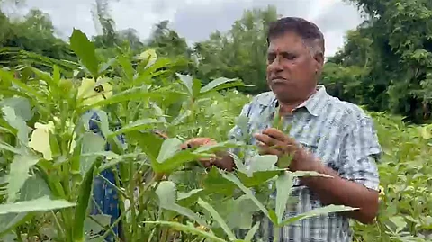 From Barren Land to Bountiful Harvests: John Fernandes of Curchorem Inspires a New Generation of Farmers