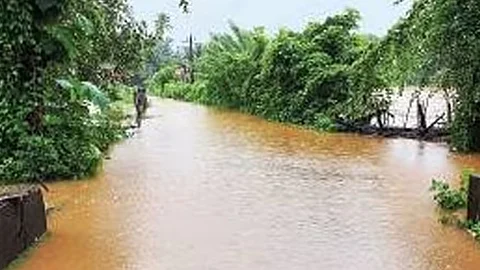 Talpona river flooding puts ryots’ livelihood at stake